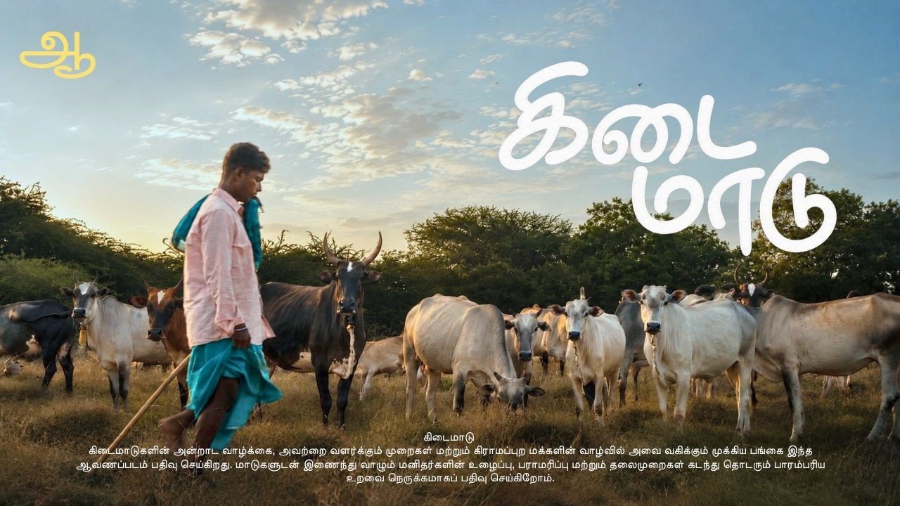 Maadu documentary by 24studioz